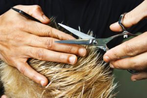 hair cutting